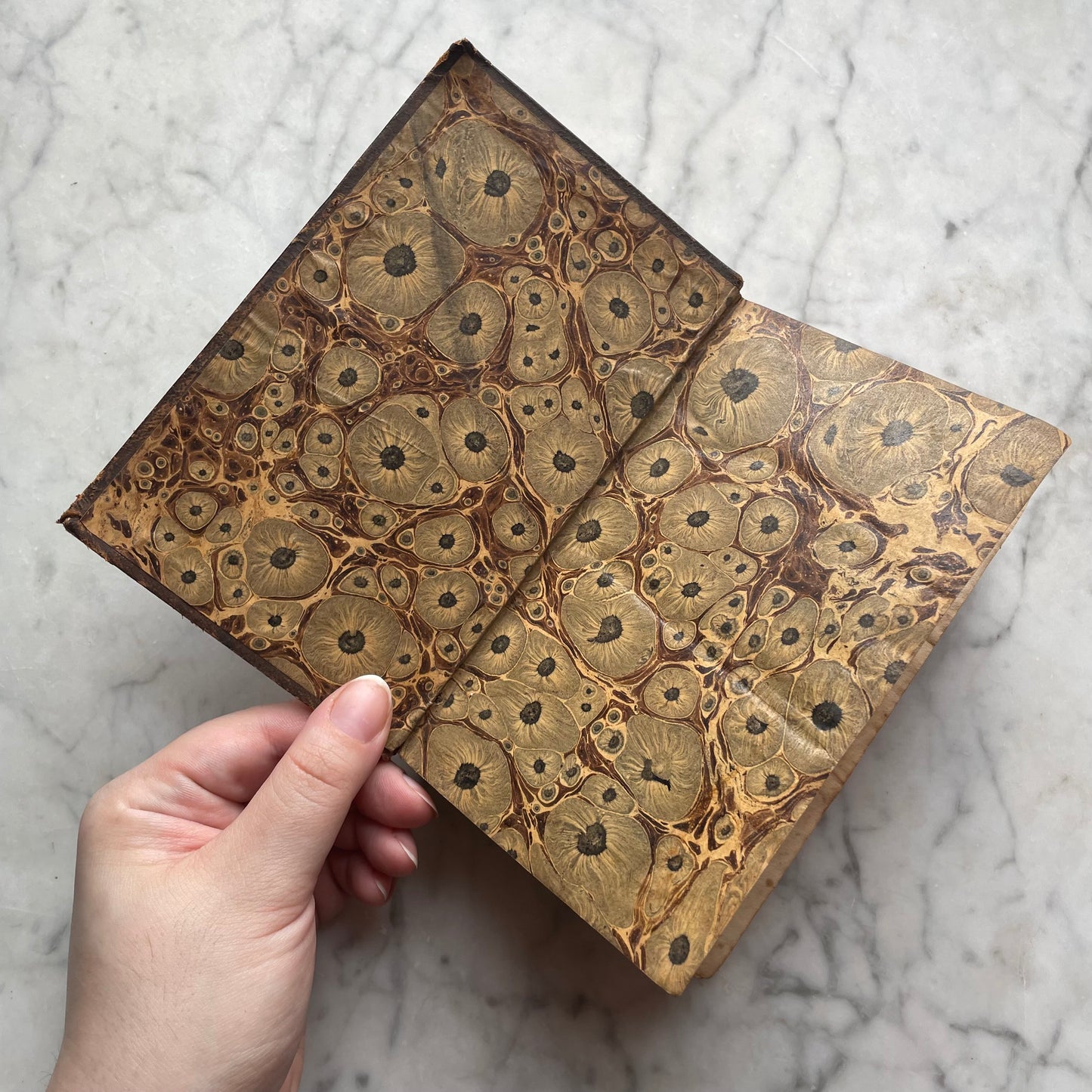 Complete Works of Shakespeare | 1832 | Full Leather Binding