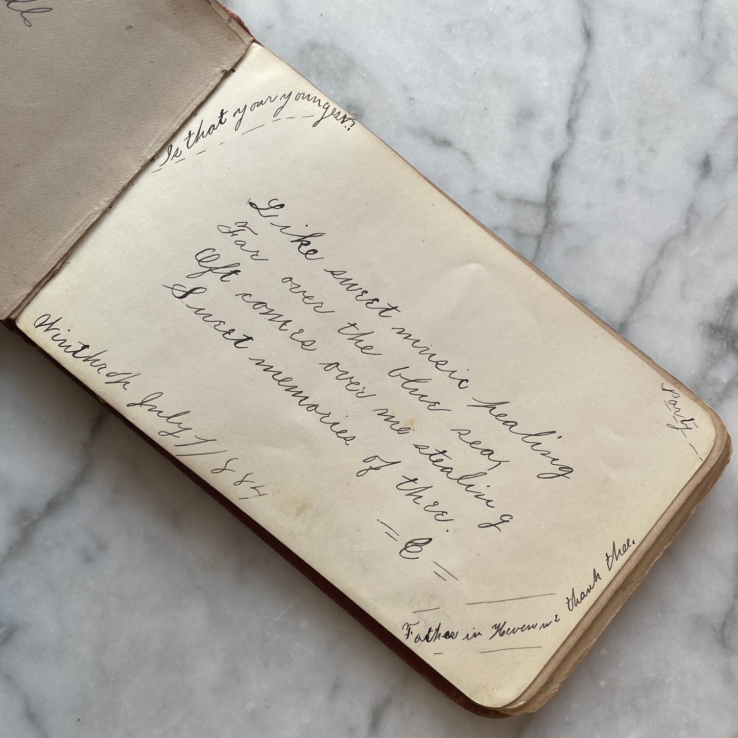 Victorian Autograph Album with Spiderwebs