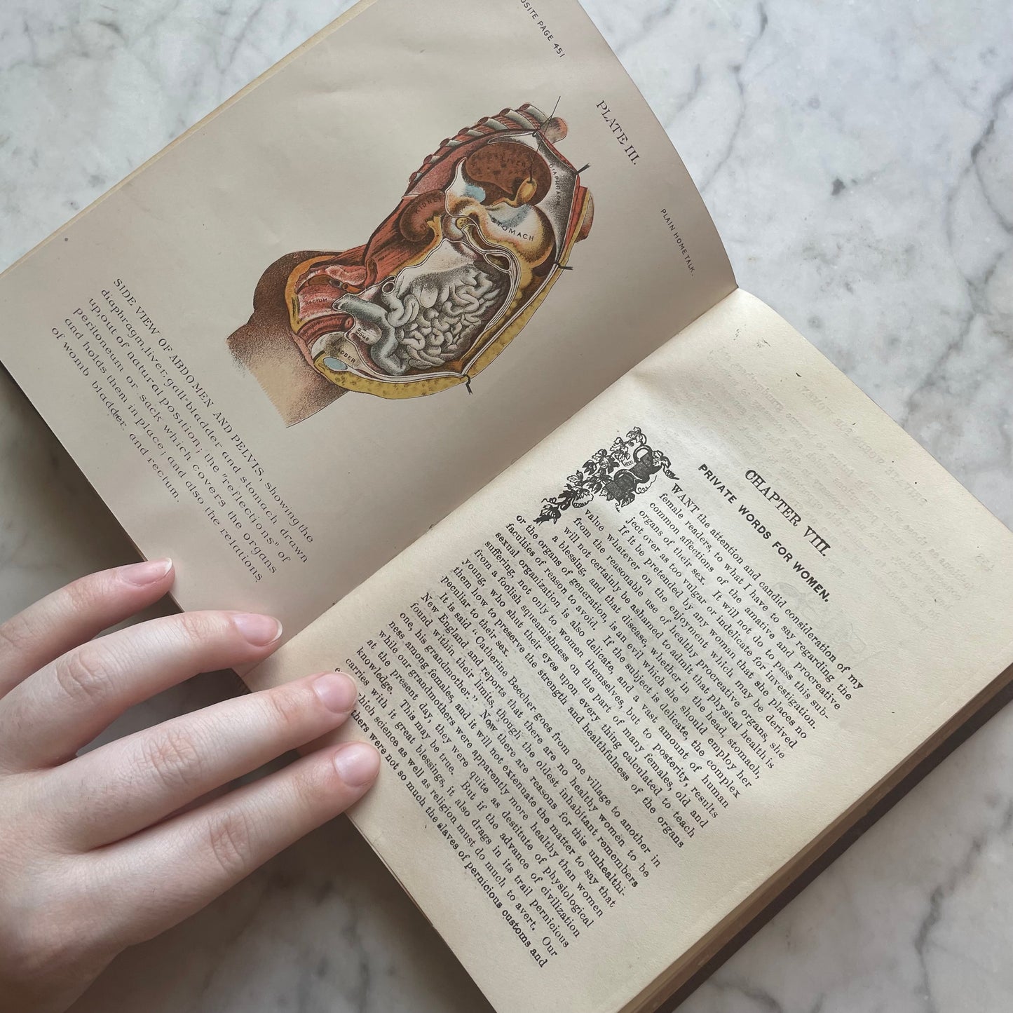 Victorian Medical Book | Plain Home Talks | 1858