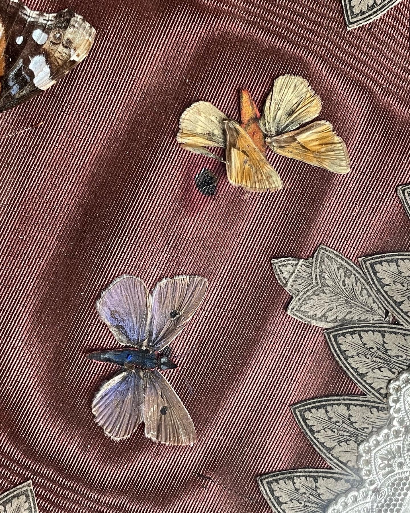 Antique Black Lacquer Folder with Butterfly Specimens on Silk