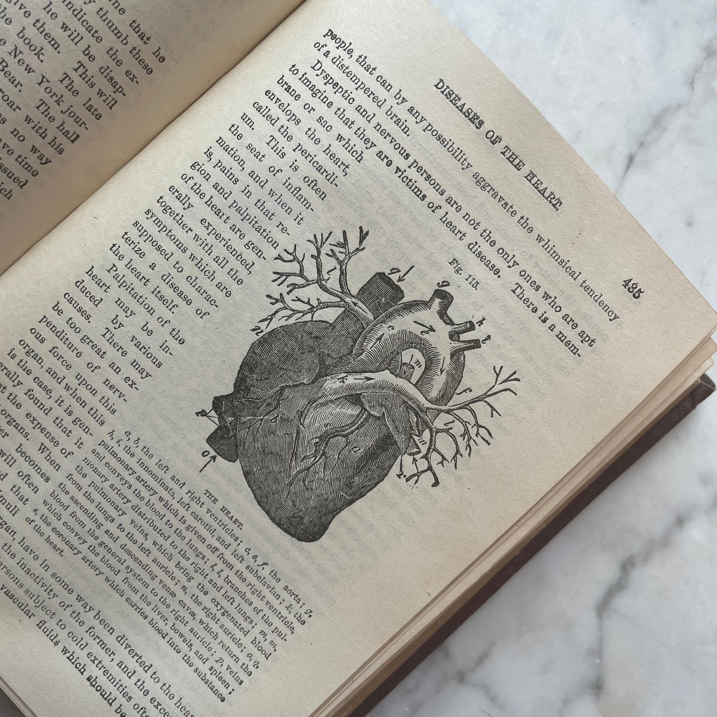 Victorian Medical Book | Plain Home Talks | 1858
