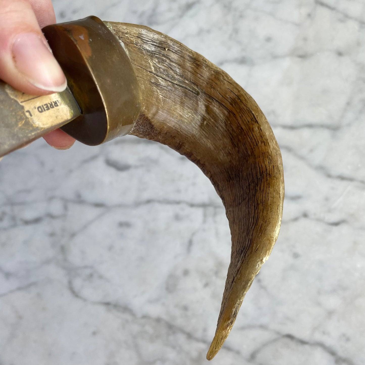 Vintage Horn Letter Opener