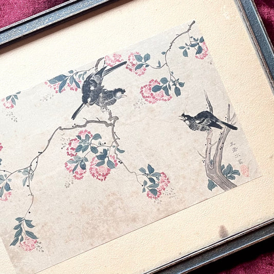 Crepe Myrtle by Wang Ruoshui aka Wang Yuan| Antique Print
