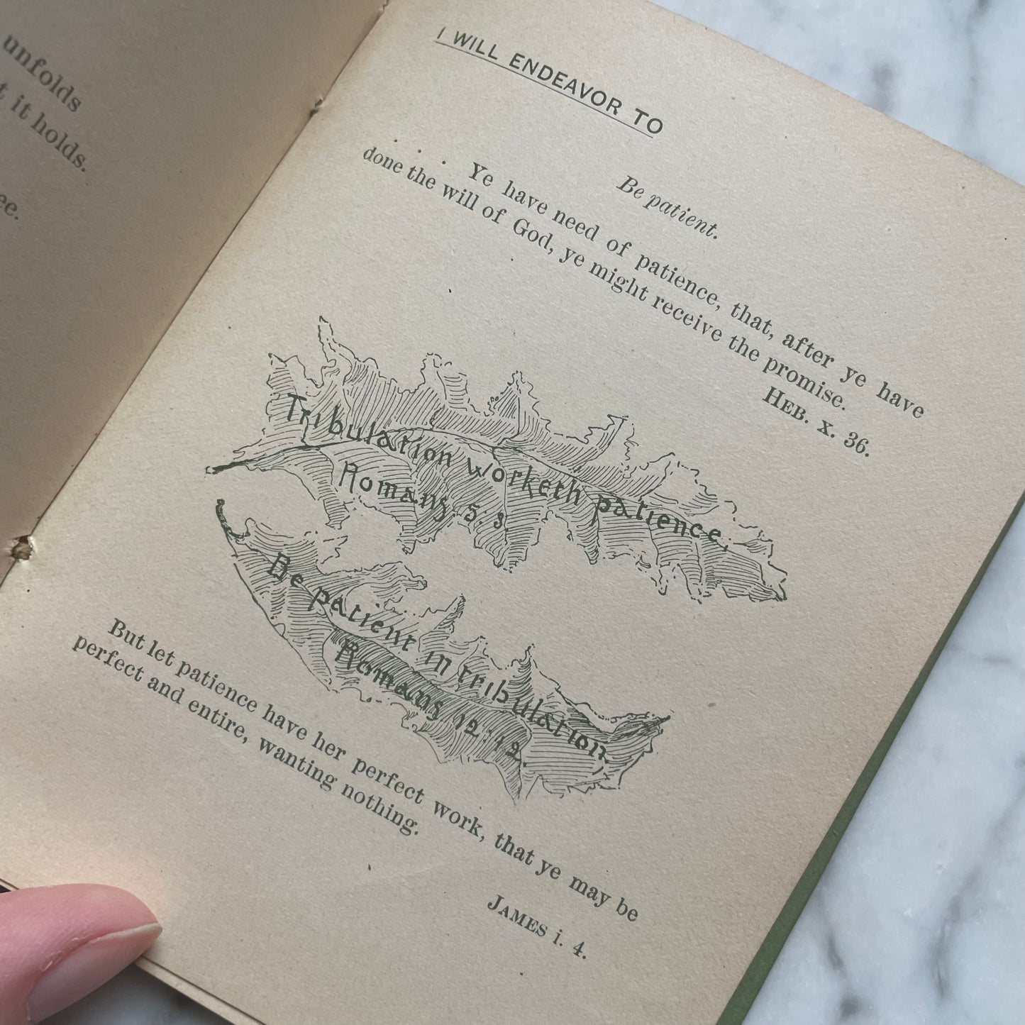 Living Leaves for Christian Endeavor