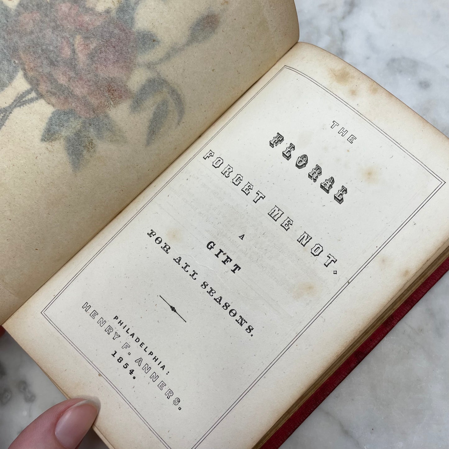 Floral Forget Me Not| The Language of Flowers | 1854