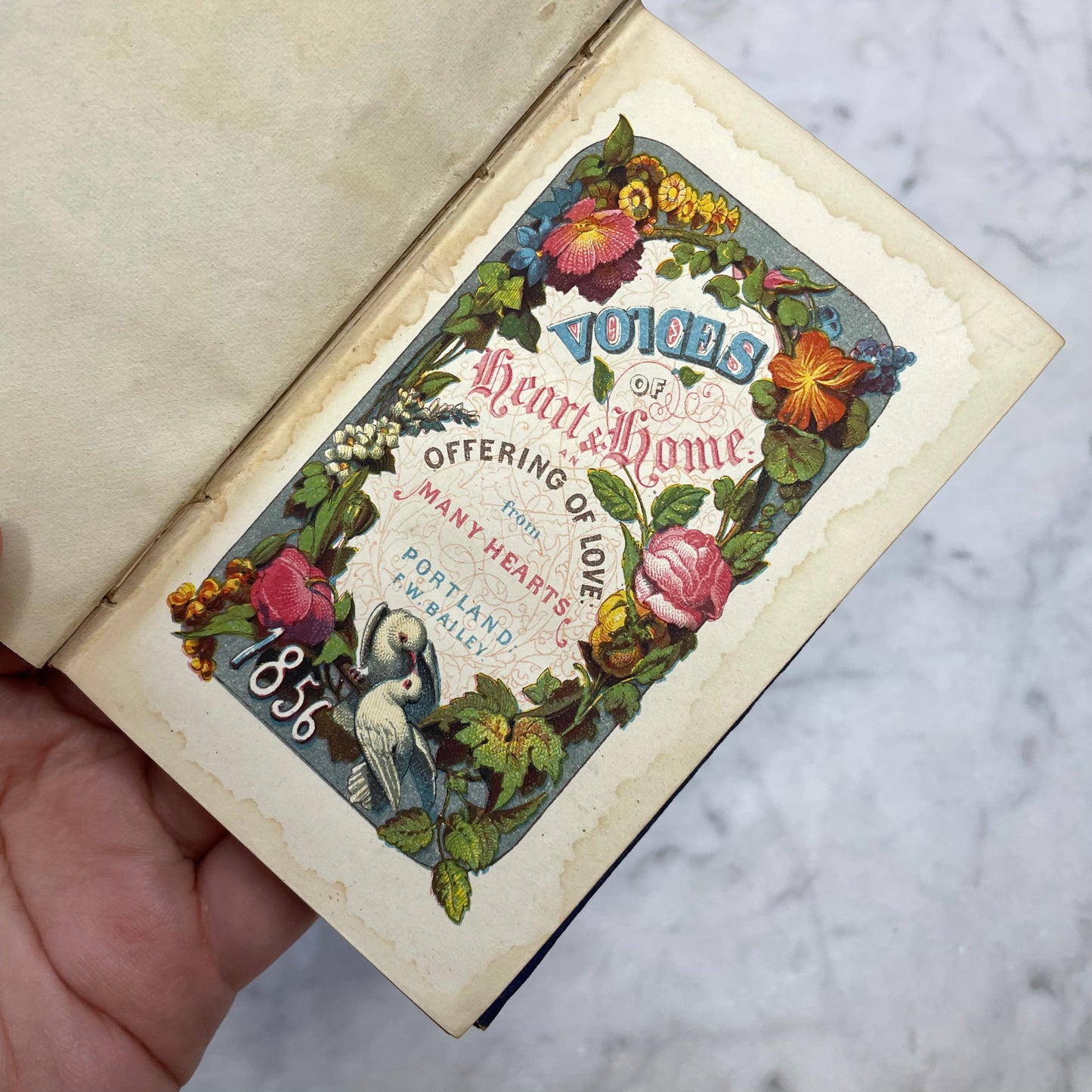 Voices from Heart & Home, 1856 | An Offering of Love from Many Voices