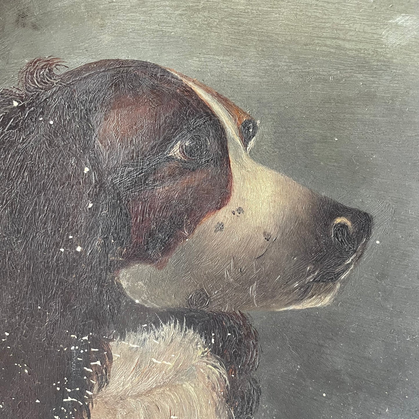 Victorian Portrait Plate of a Dog