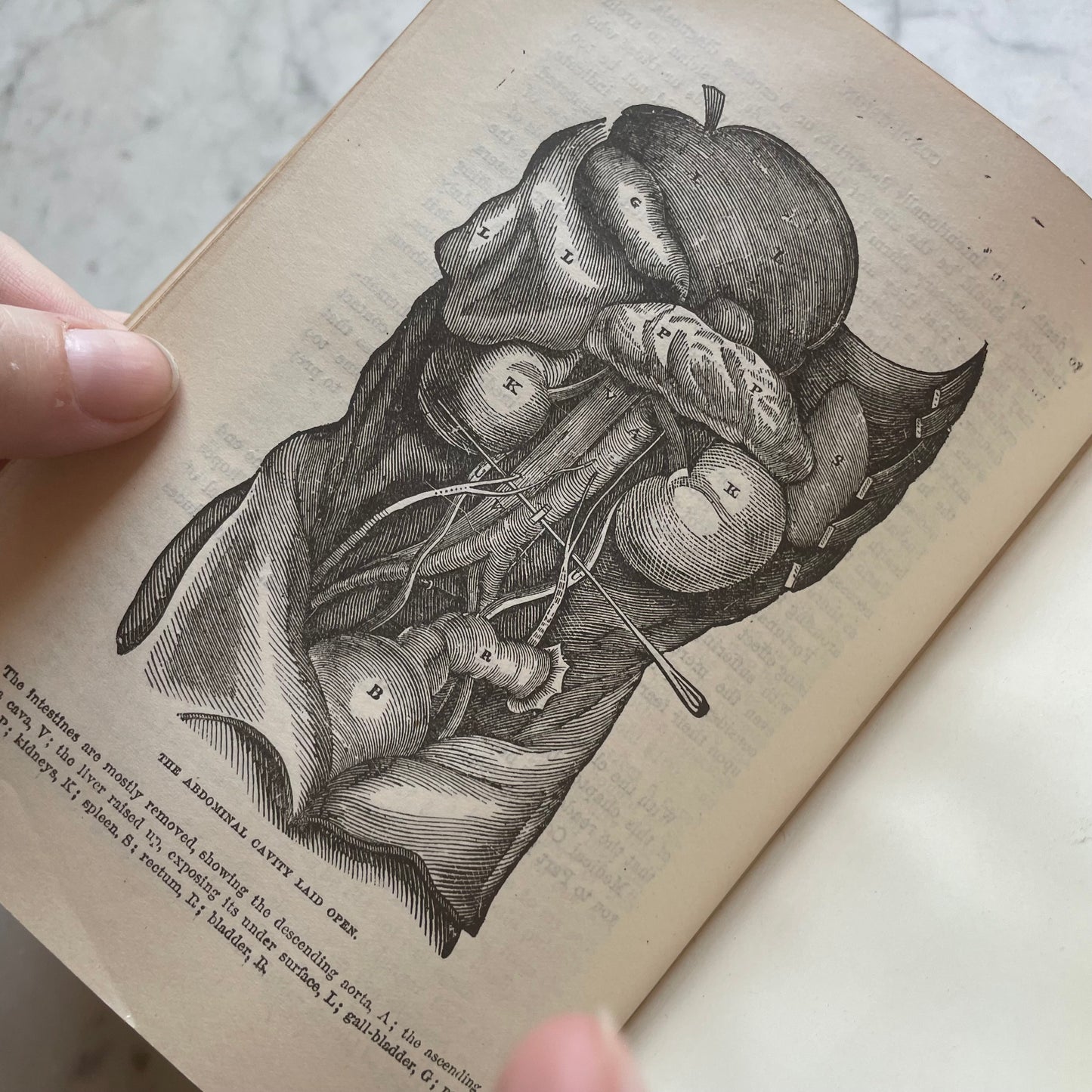Victorian Medical Book | Plain Home Talks | 1858