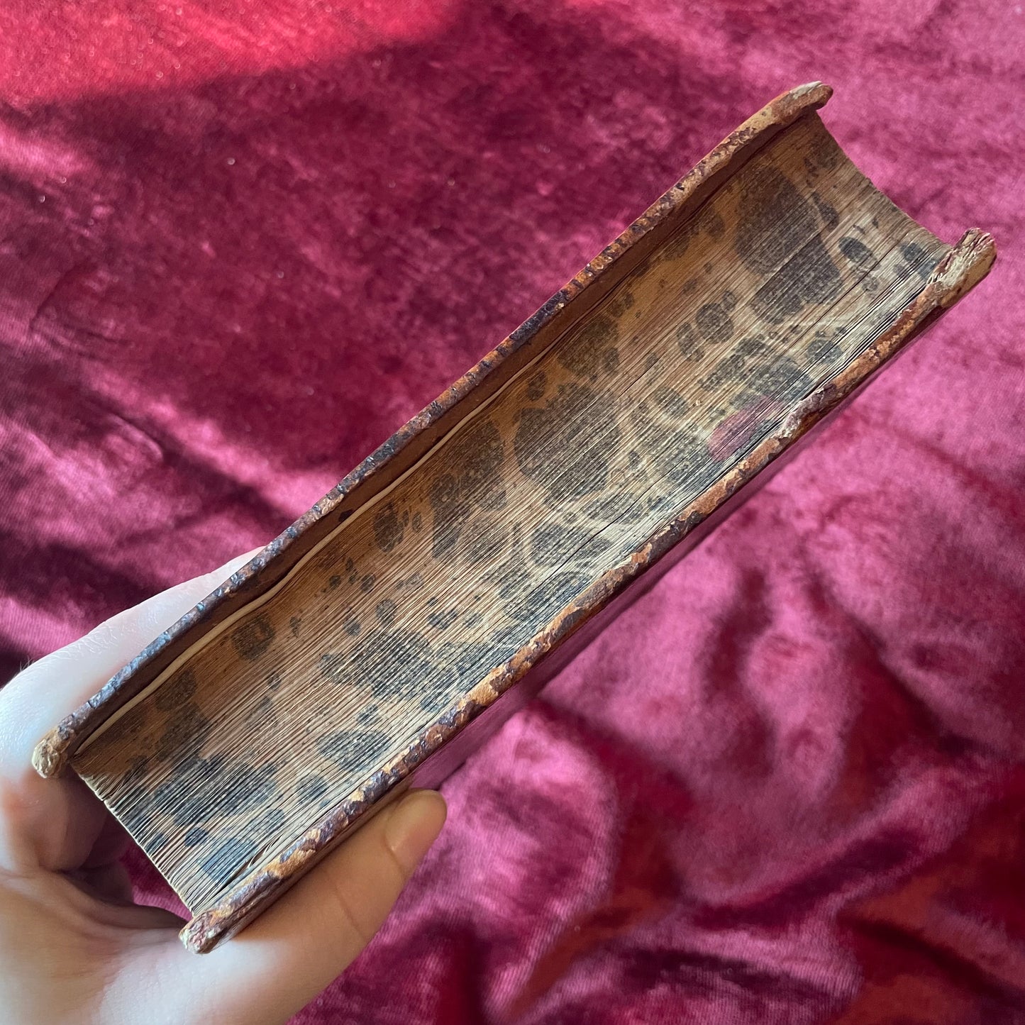 Homélies et lettres choisies de Saint Basile le Grand | Abbé Auger | 1788