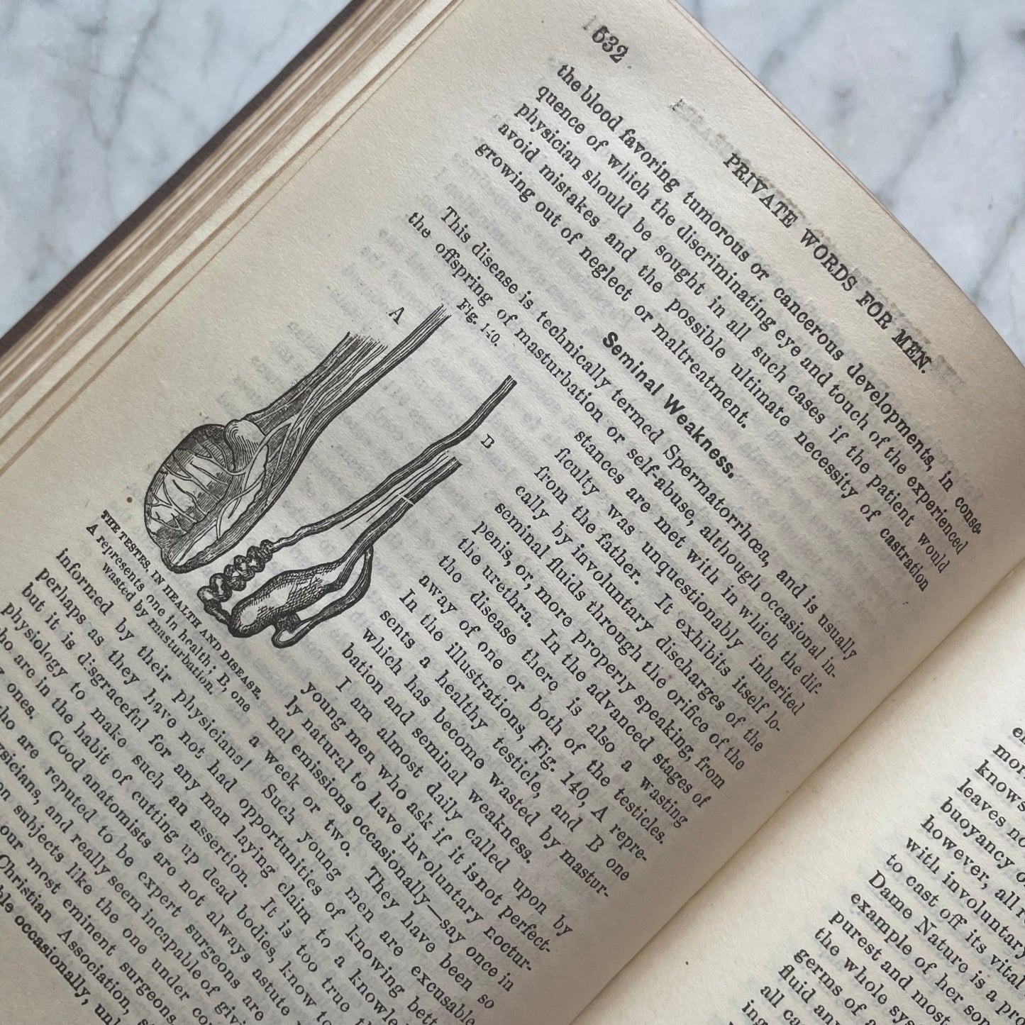Victorian Medical Book | Plain Home Talks | 1858