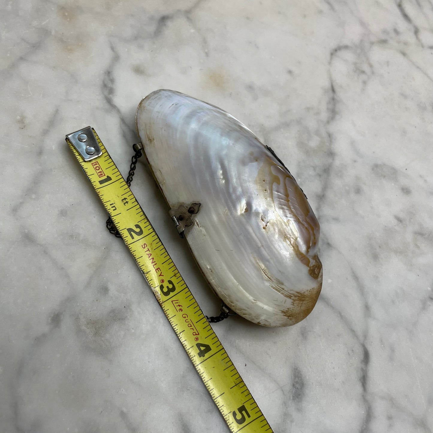Victorian Pearl Shell Purse