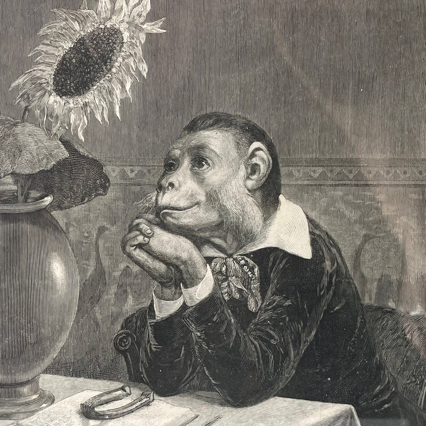 An Aesthetic Monkey | 1882 Cartoon