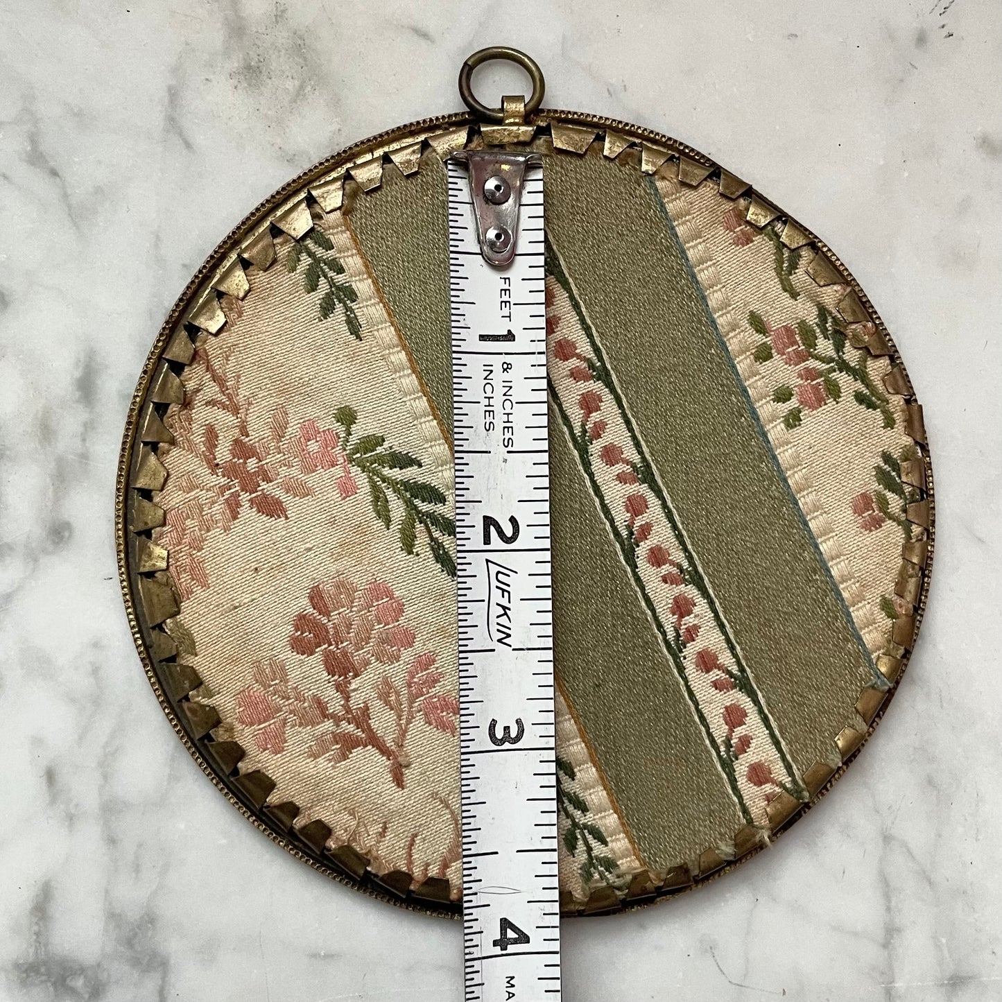 Antique Moth Specimen in Round Frame
