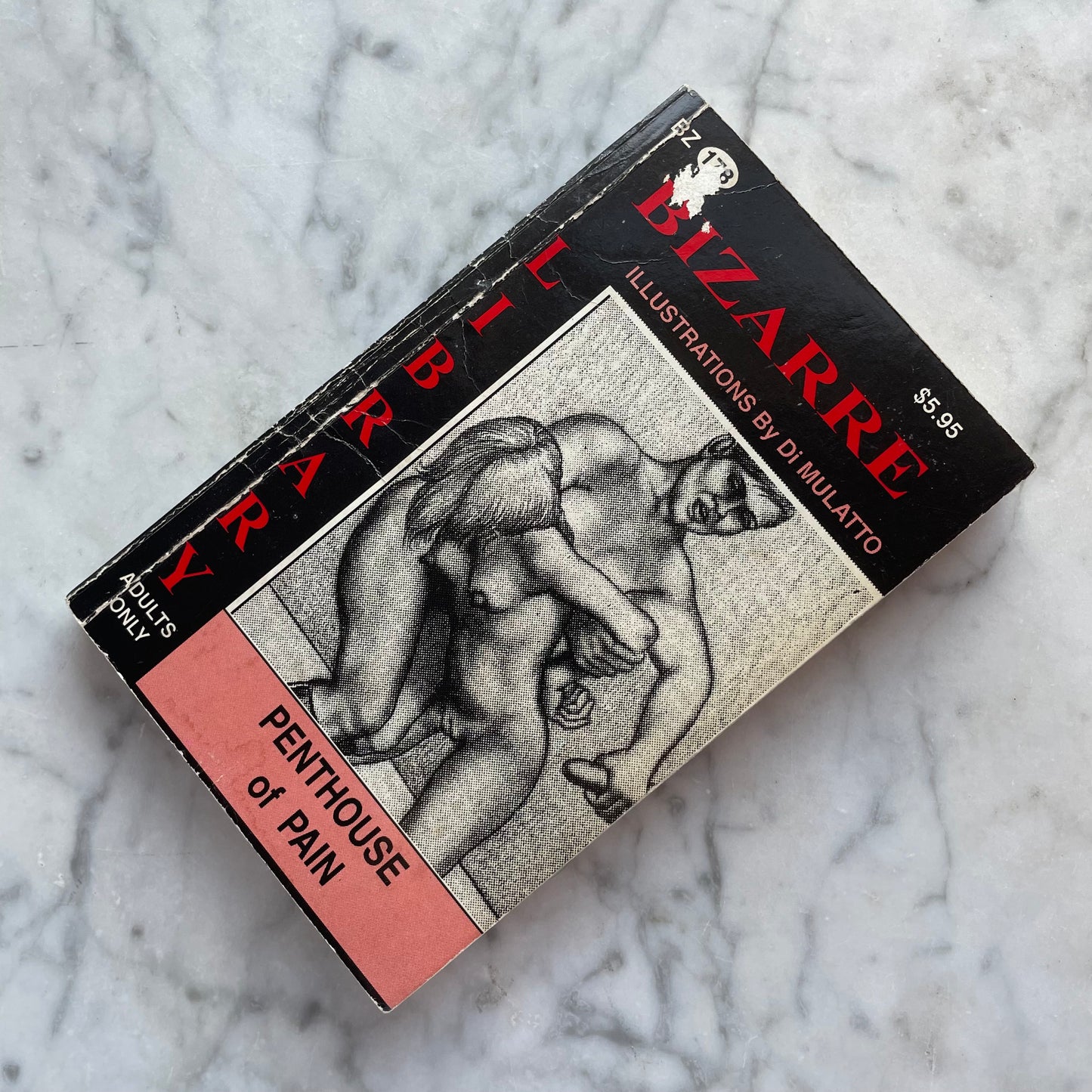 Penthouse of Pain | Vintage BDSM | 1993