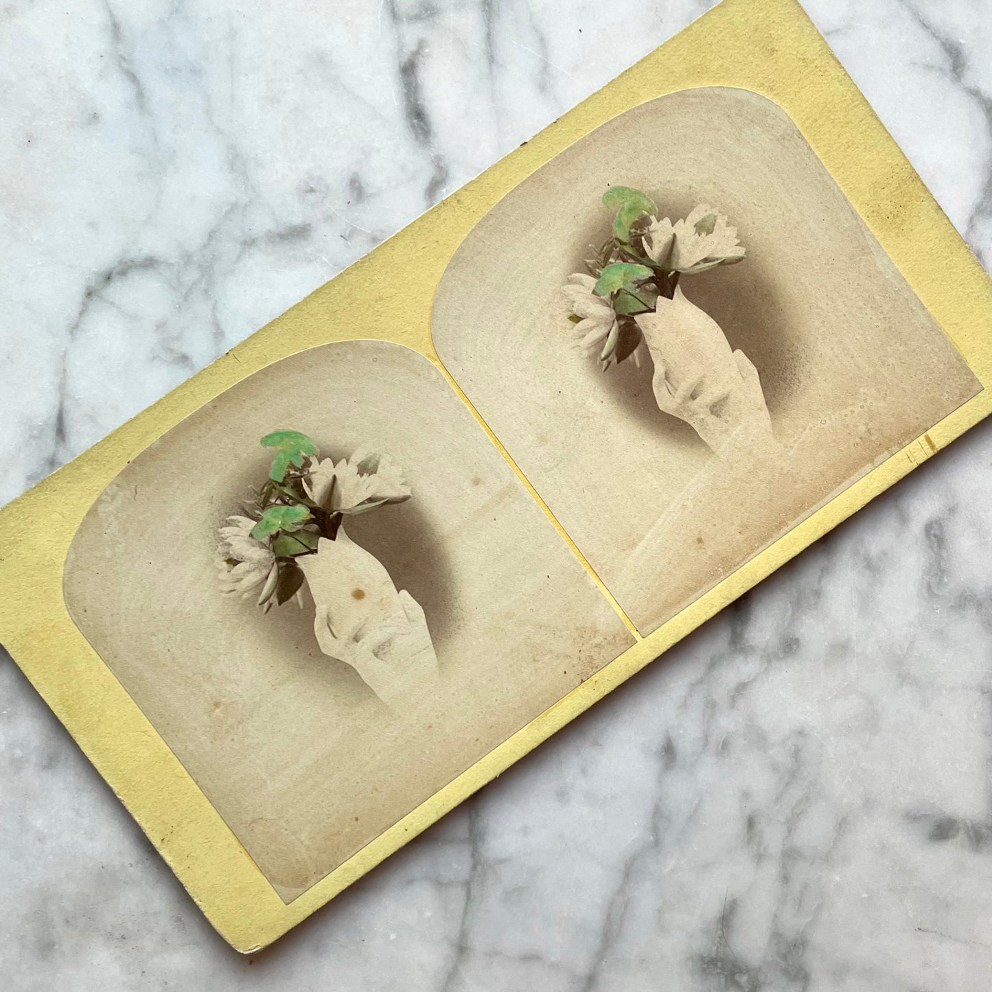 Victorian Hand Shaped Parian Vase Stereocard Photo