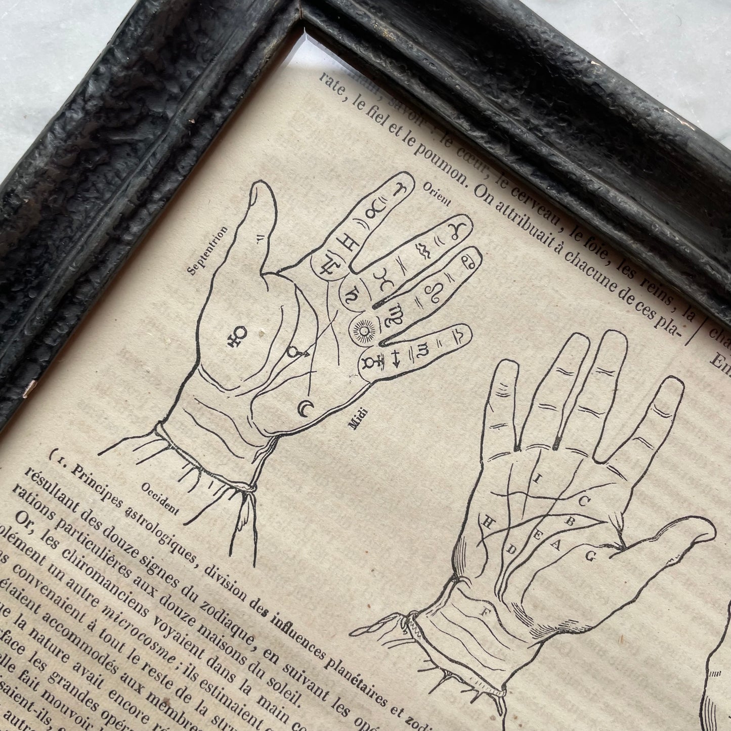 Antique French Palmistry Print