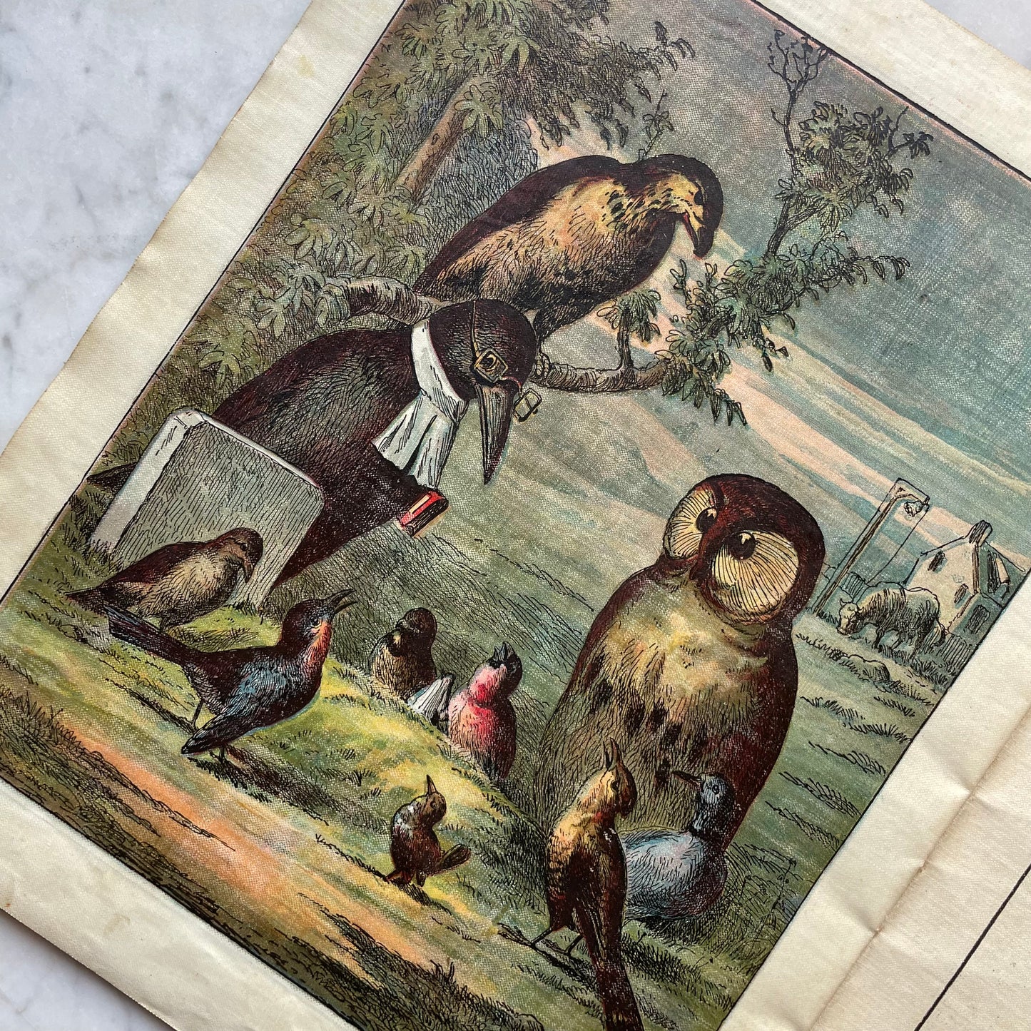 The Story of Cock Robin | Antique McLoughlin Linen Book
