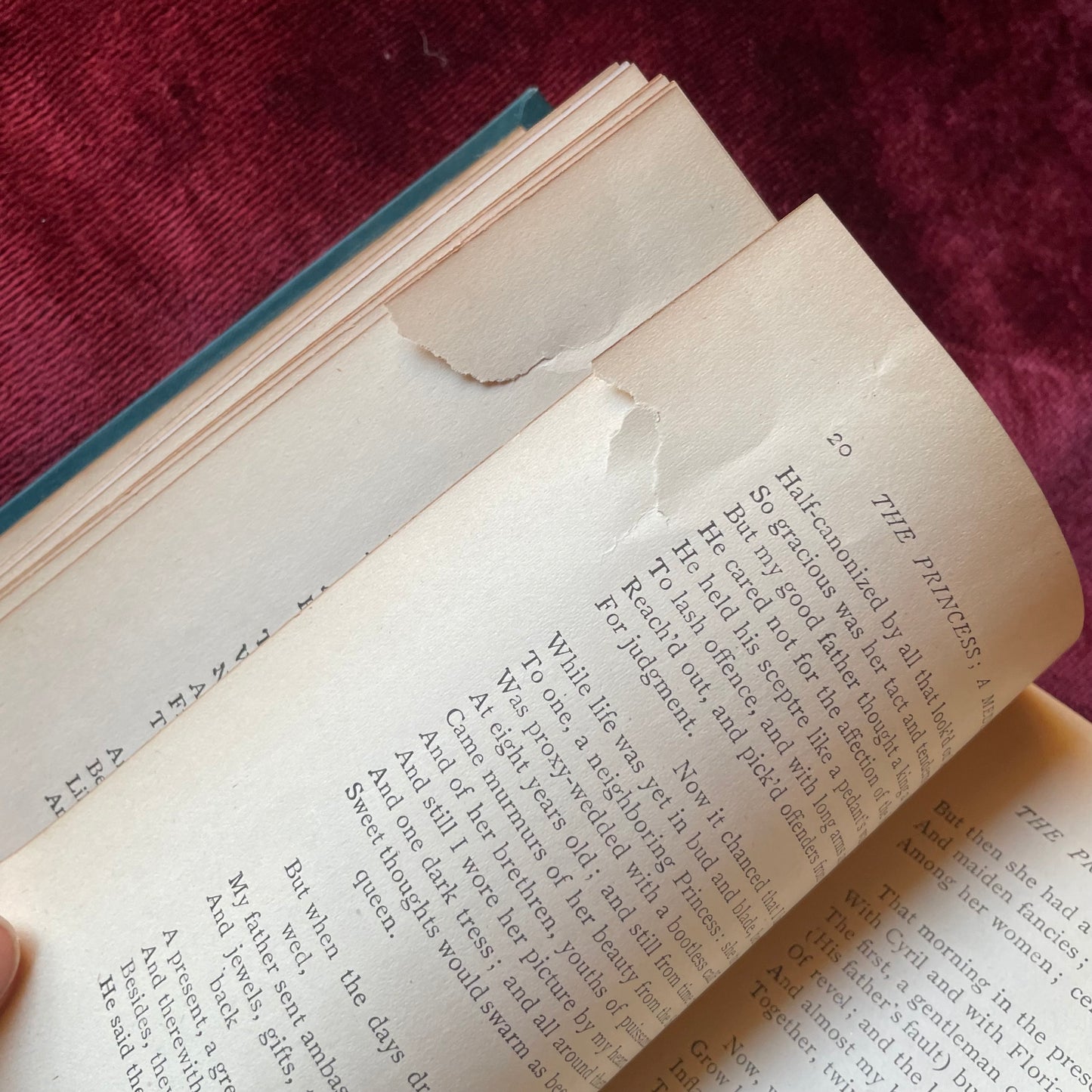 Decorative Binding | The Princess & Maud | Henry Altemus