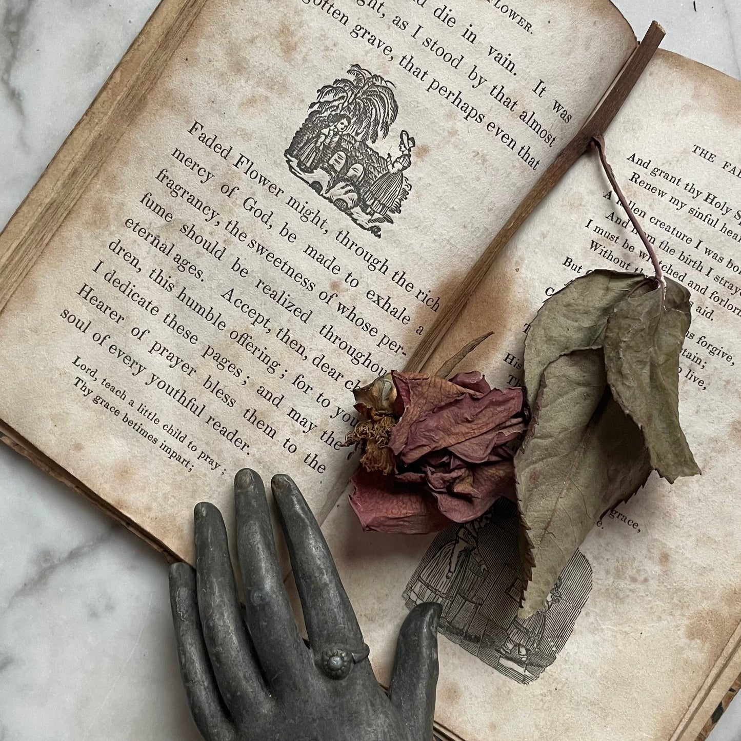 The Faded Flower | Victorian Mourning Book | 1843