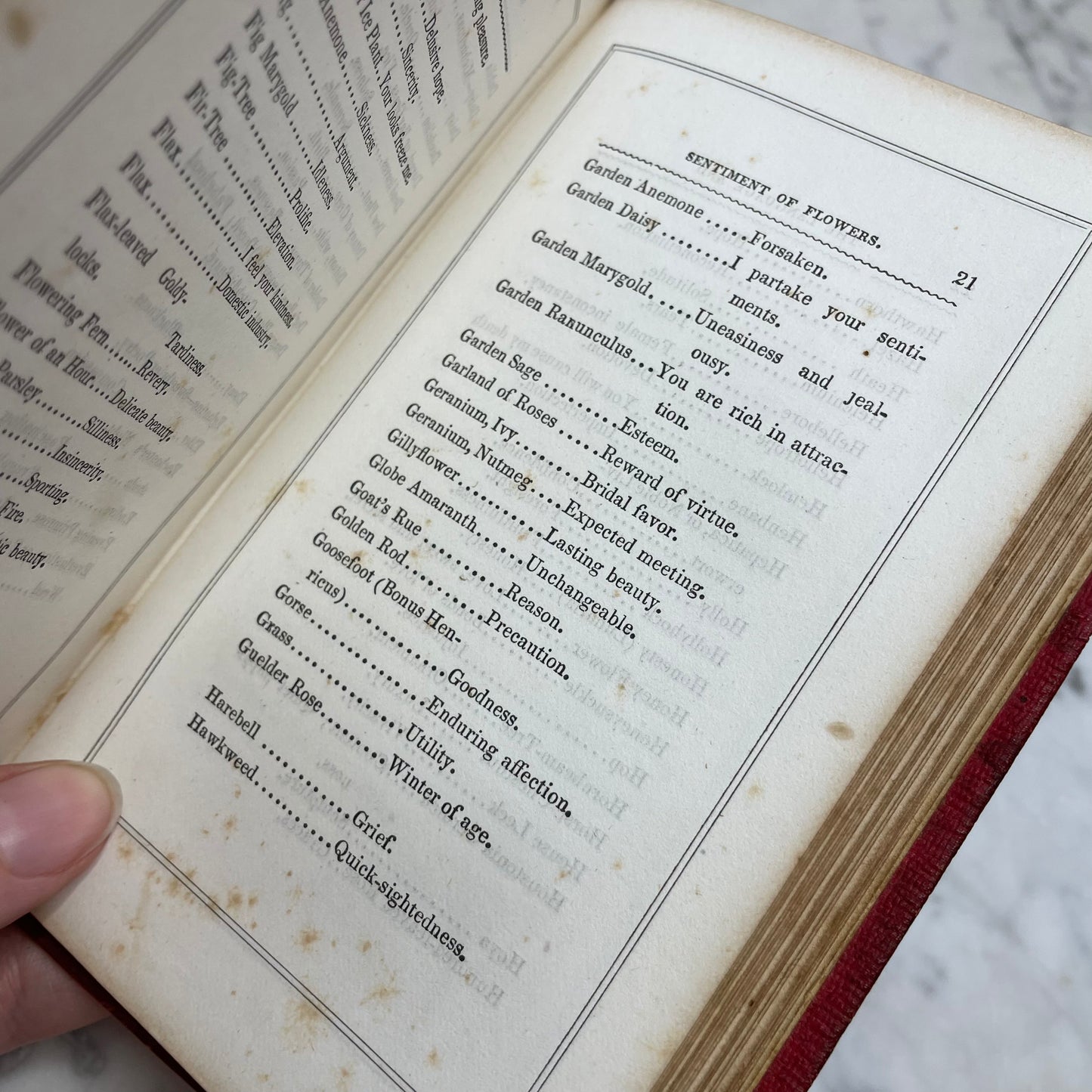 Floral Forget Me Not| The Language of Flowers | 1854