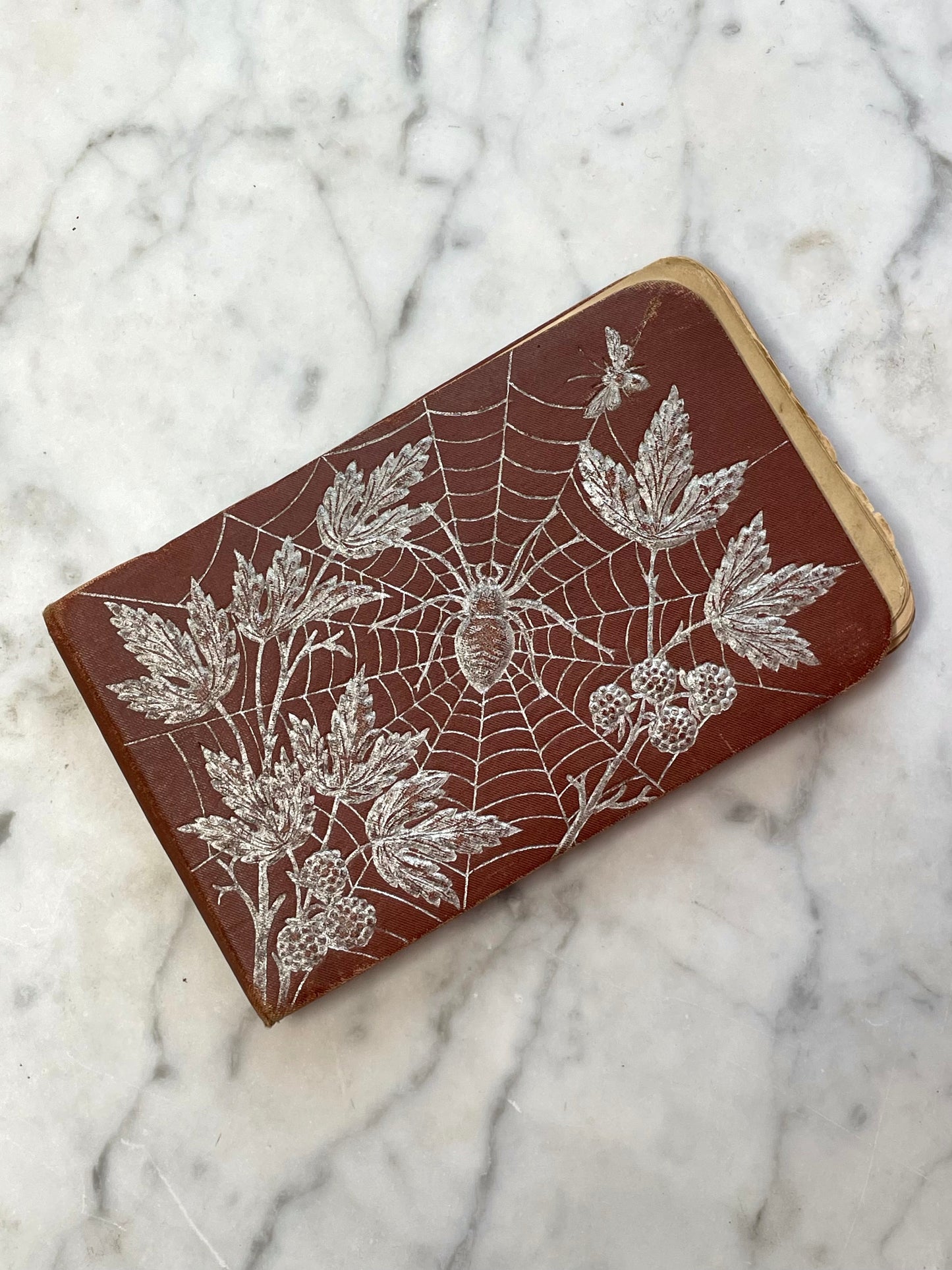 Victorian Autograph Album with Spiderwebs