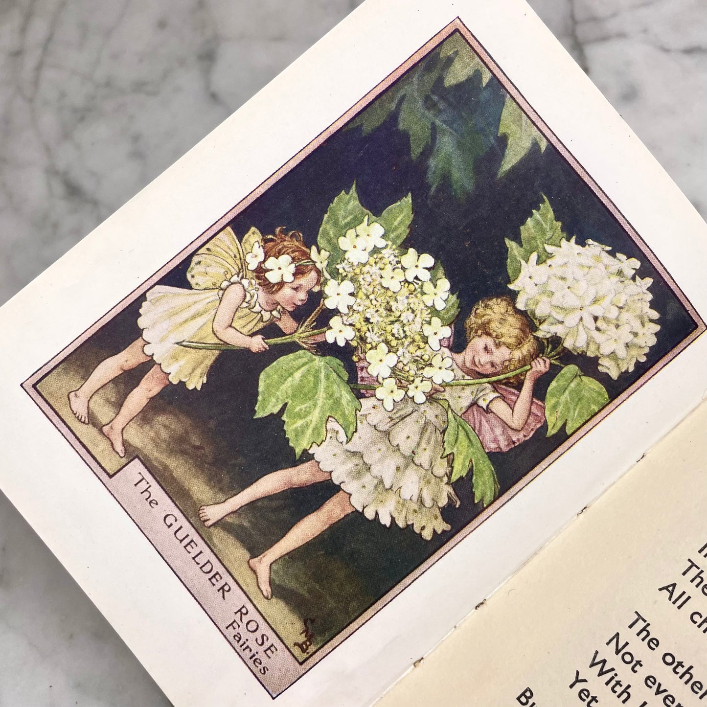 Fairies of the Trees | Cicely Mary Barker