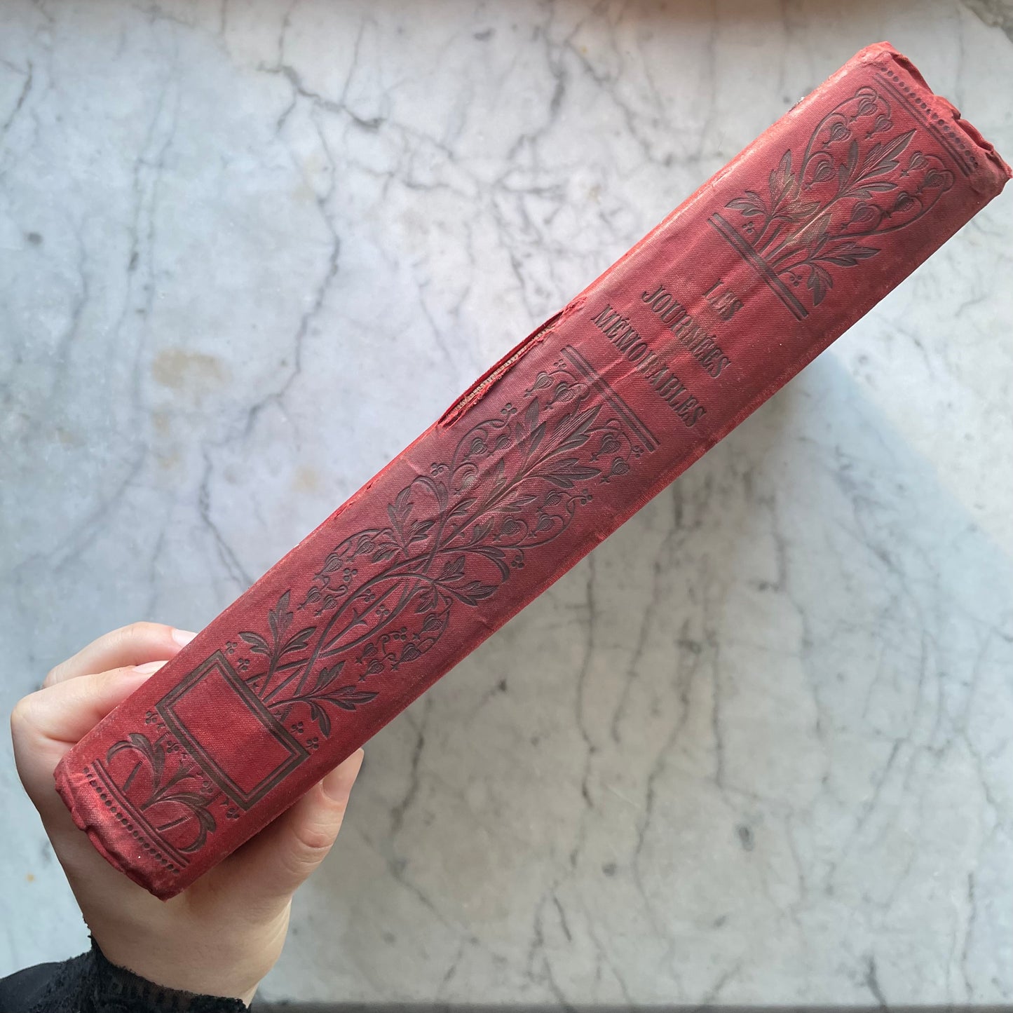 Journées Mémorables | French Art Nouveau Binding
