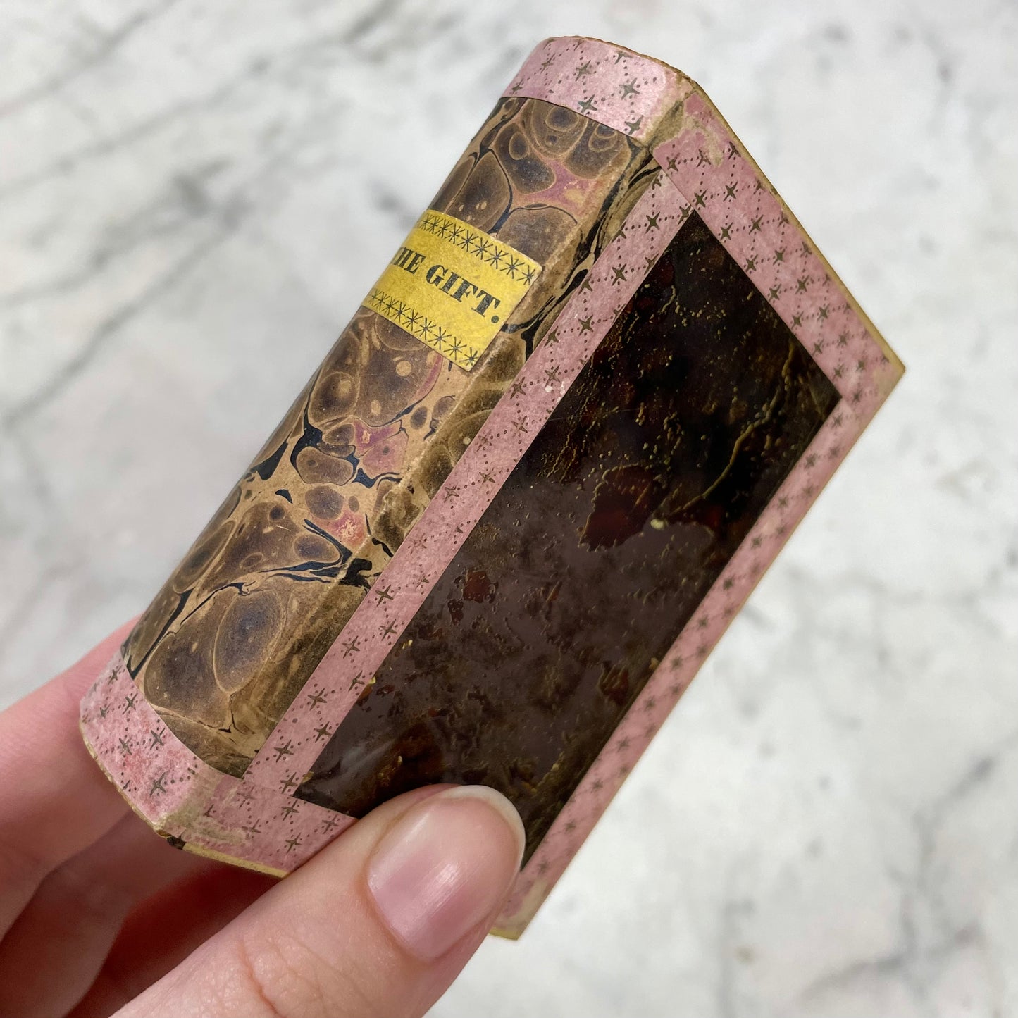 Victorian Book Shaped Glass Box with Frozen Charlotte Doll