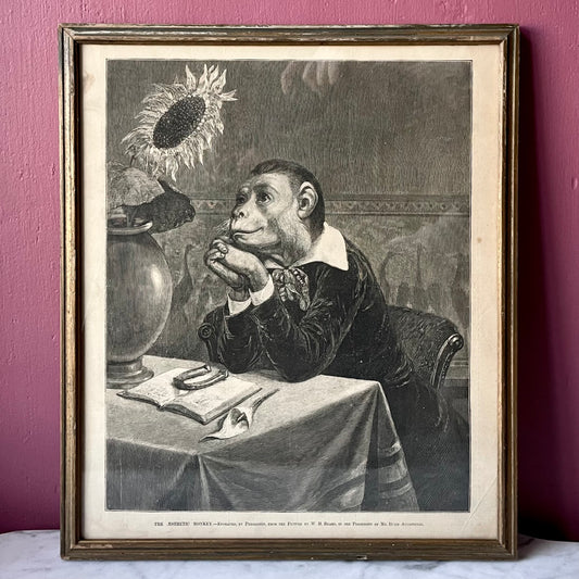 An Aesthetic Monkey | 1882 Cartoon