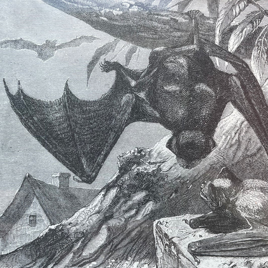 Victorian Bat Print
