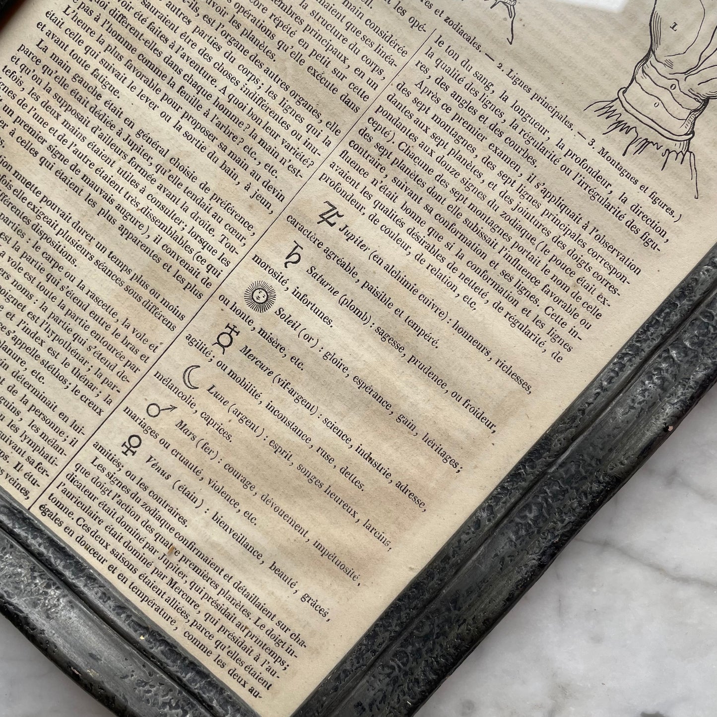 Antique French Palmistry Print