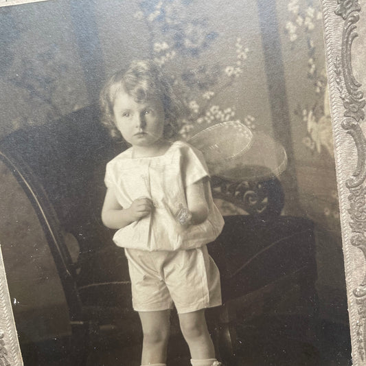 Antique Fairy Baby Cabinet Cards