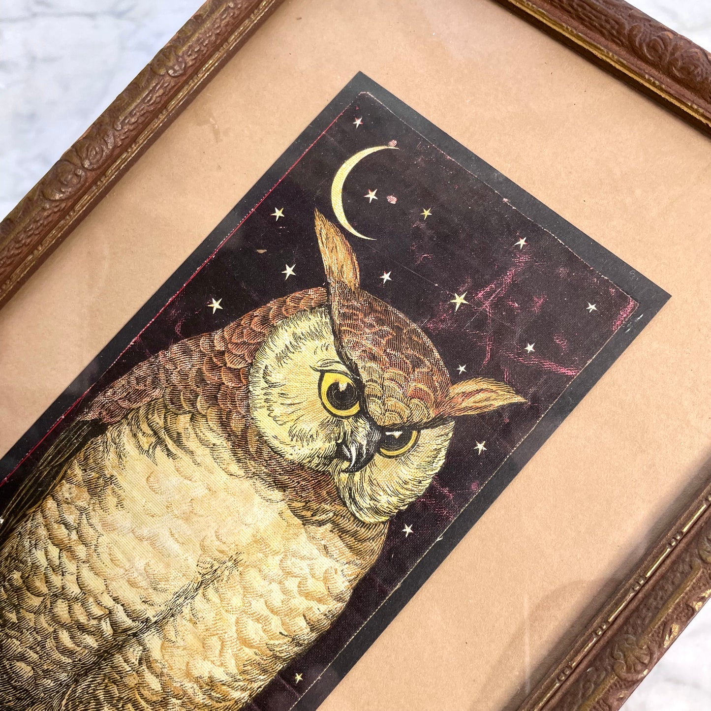 Victorian Owl Framed Advertising Card