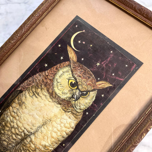 Victorian Owl Framed Advertising Card