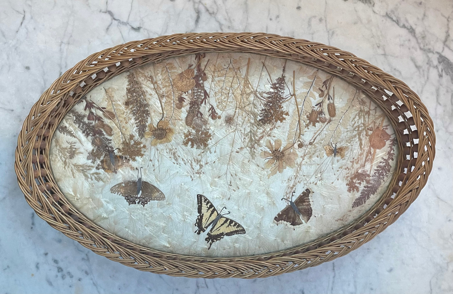 Vintage Butterfly Tray