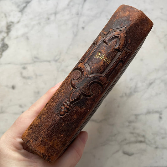 Victorian Leather Carte de Visite Album