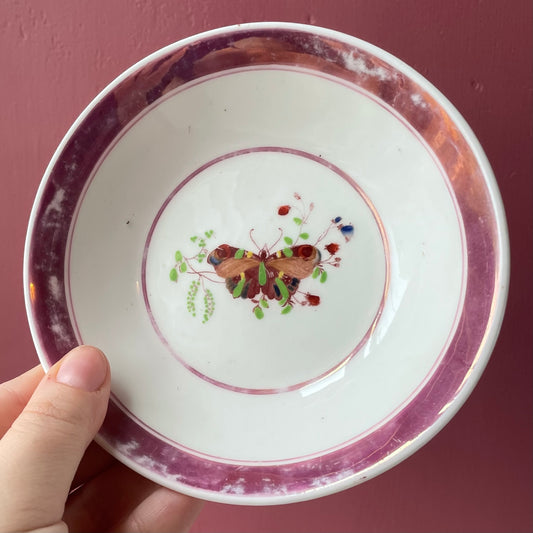 Victorian Pink Lustreware Teacup with Butterfly