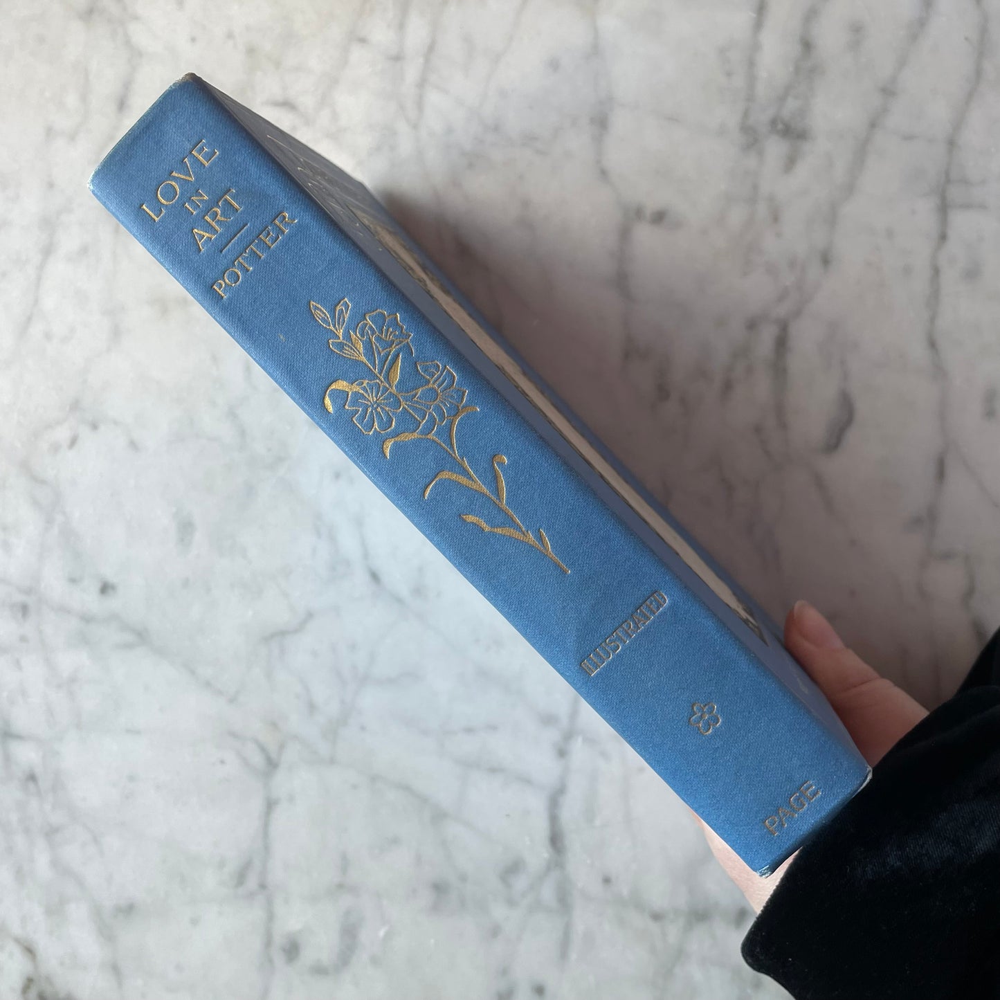 Art Lover’s Series | Page Company| Aesthetic Movement | 1898