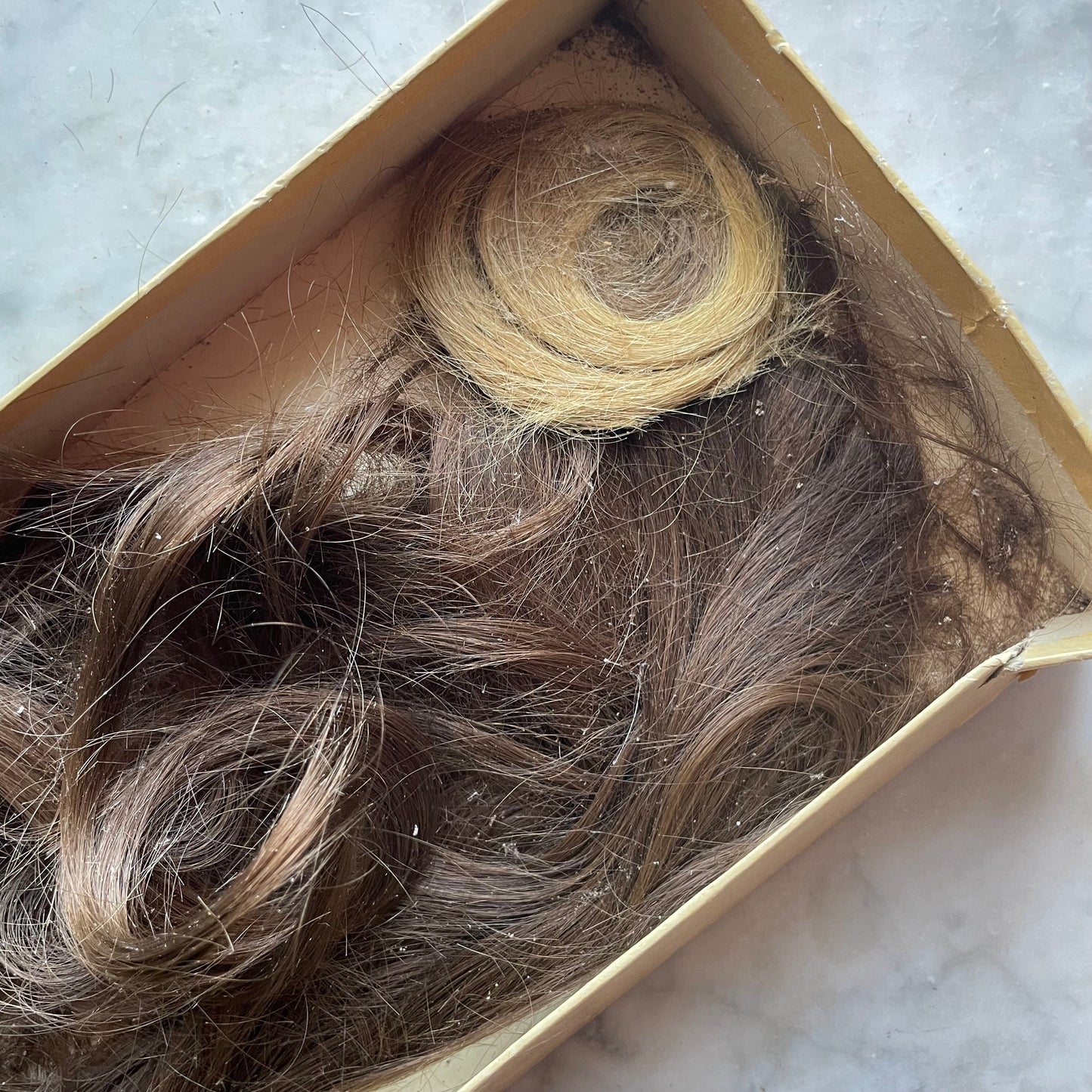 Antique Locks of Hair
