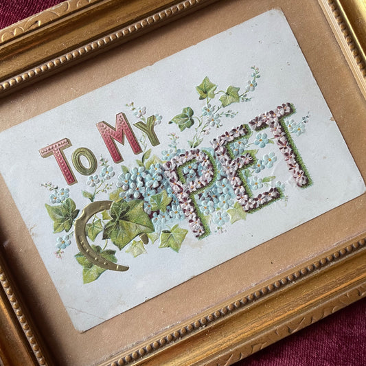 To My Pet | Antique Postcard