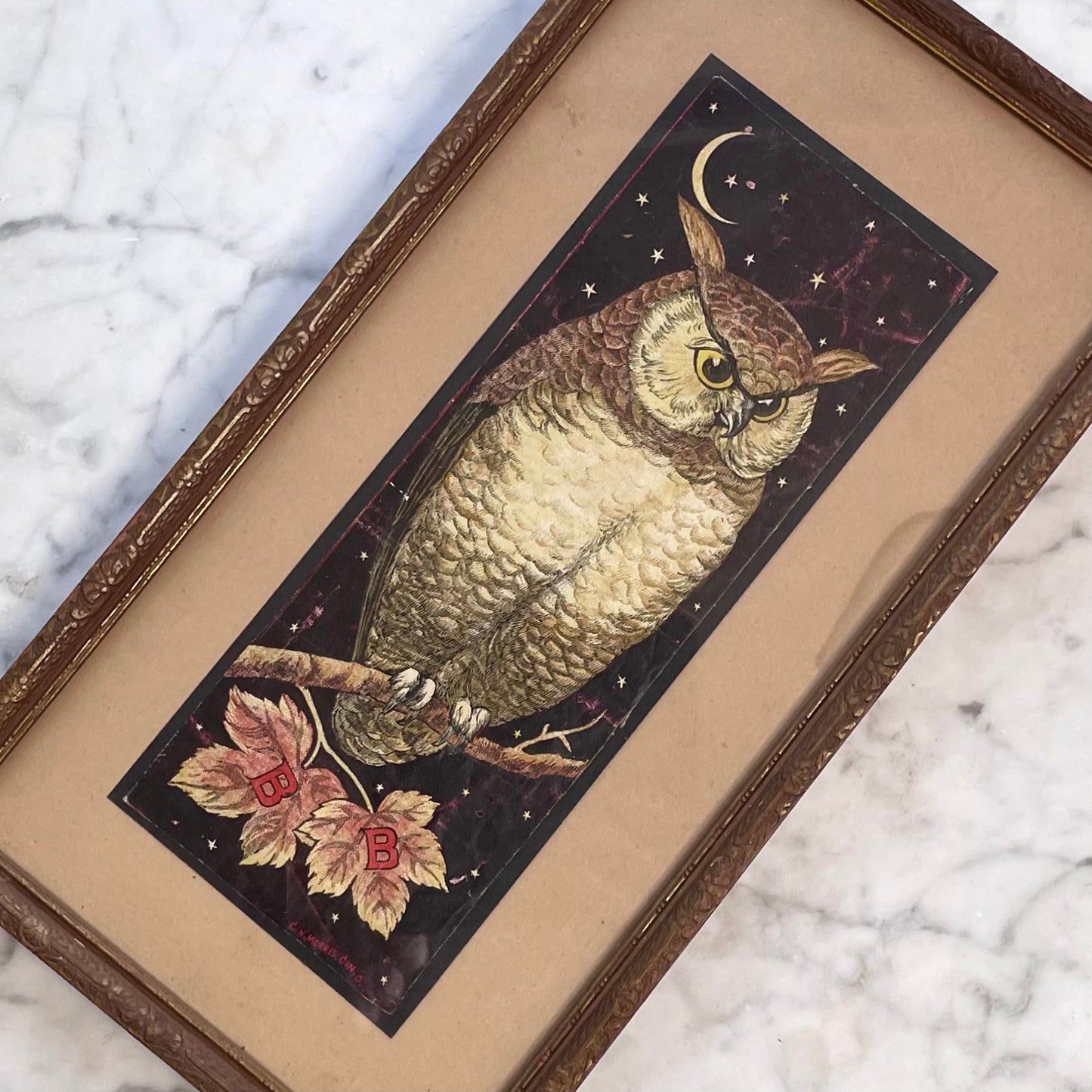 Victorian Owl Framed Advertising Card
