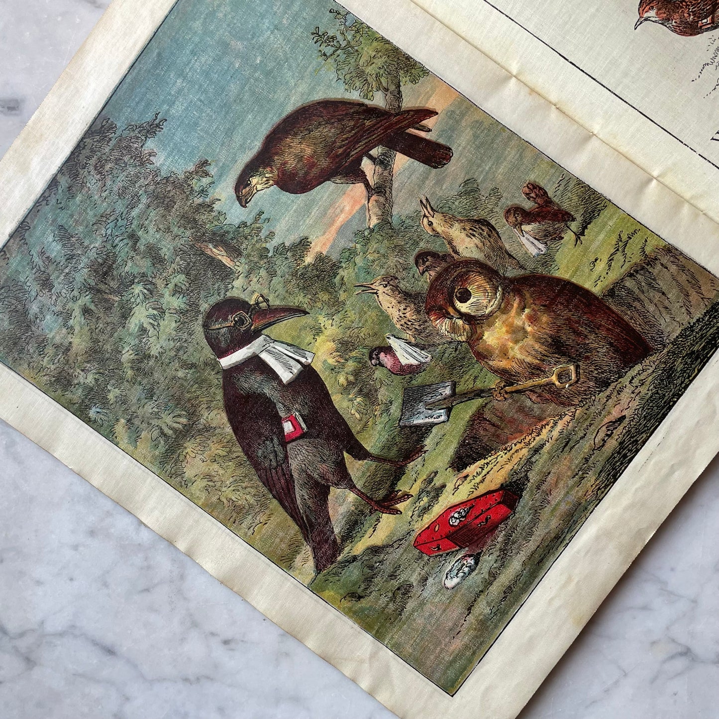 The Story of Cock Robin | Antique McLoughlin Linen Book