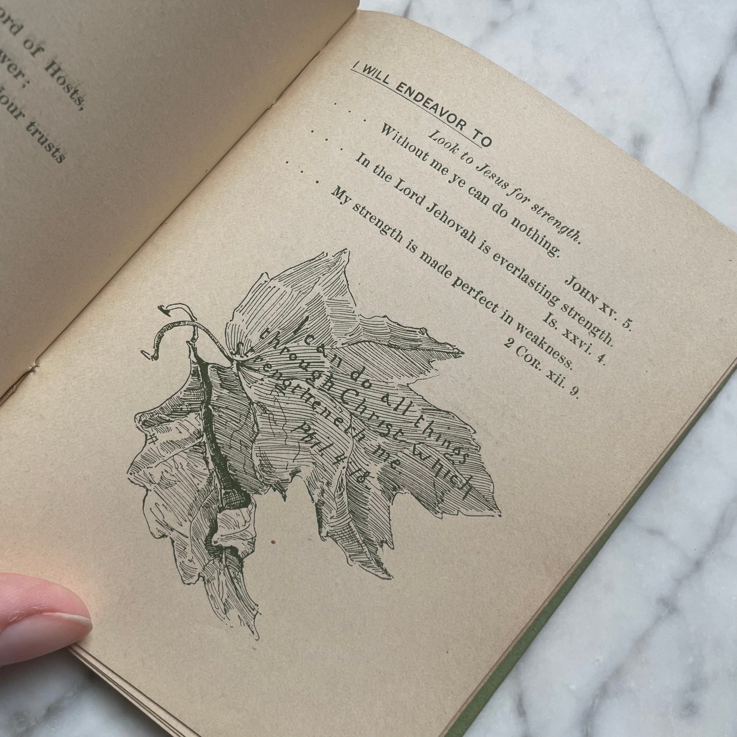 Living Leaves for Christian Endeavor