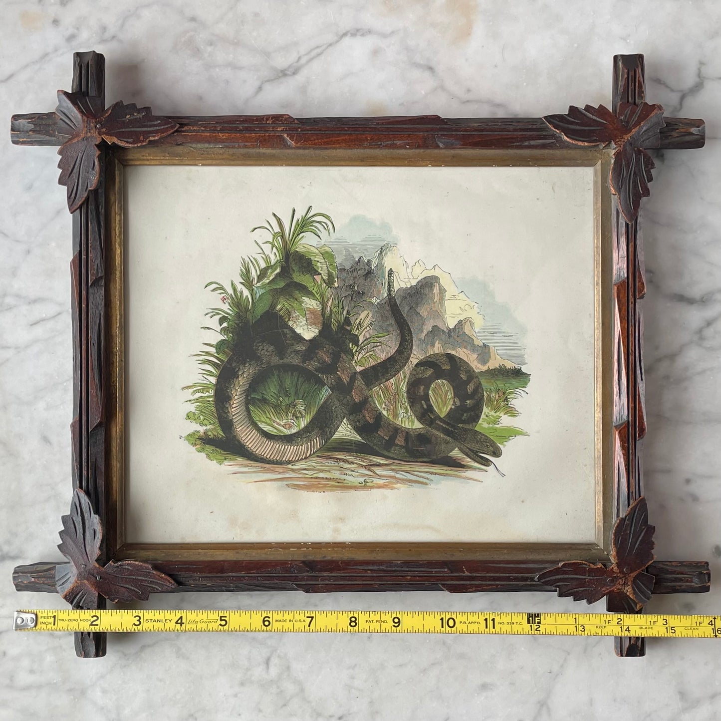 Victorian Snake Print