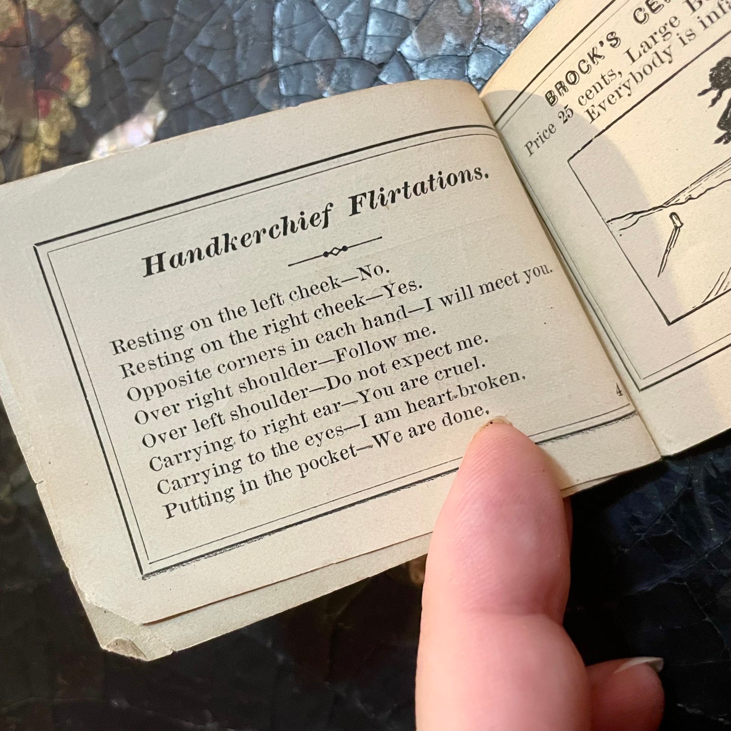 The Floral Album & Flirtation Handbook | Brock’s Century Cologne Advertising Booklet