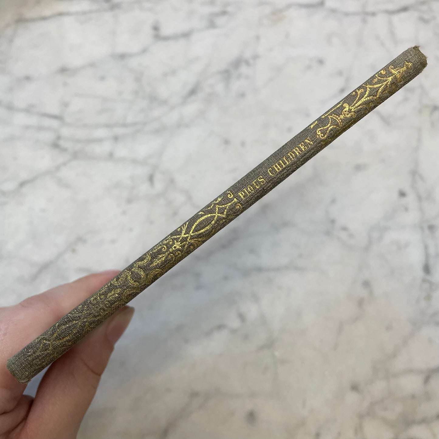 Victorian Mourning Book | Narratives of Pious Children