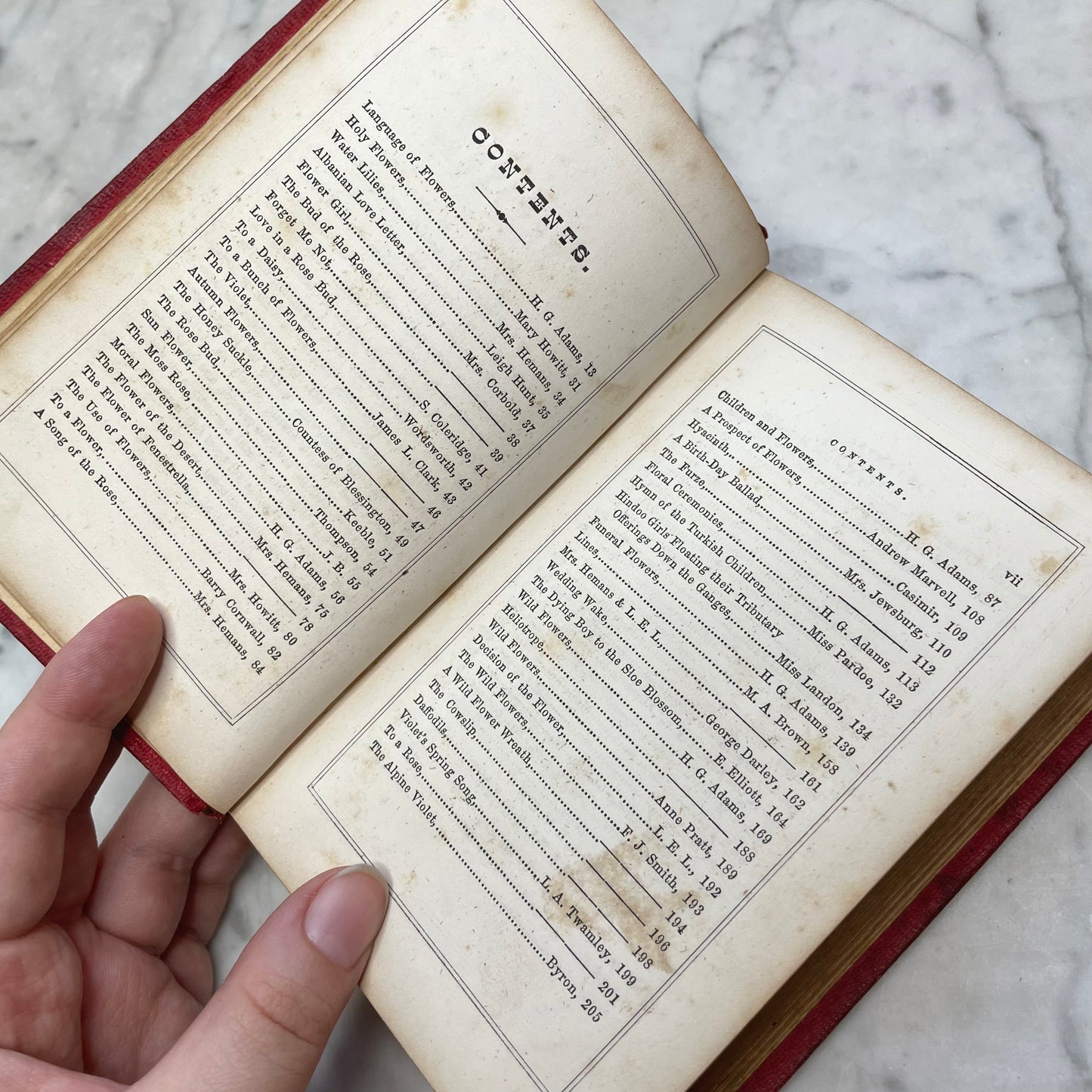 Floral Forget Me Not| The Language of Flowers | 1854