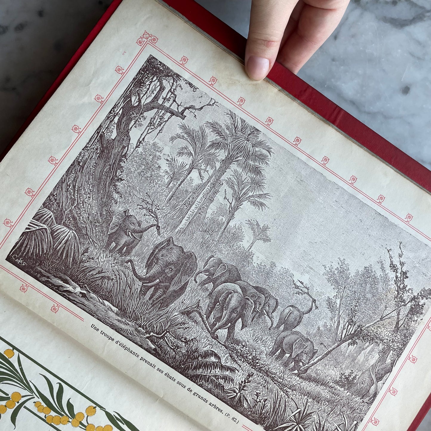 Journées Mémorables | French Art Nouveau Binding