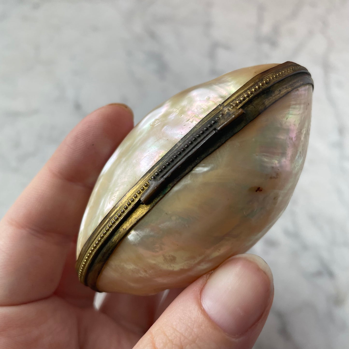 Antique Pearl Shell Box