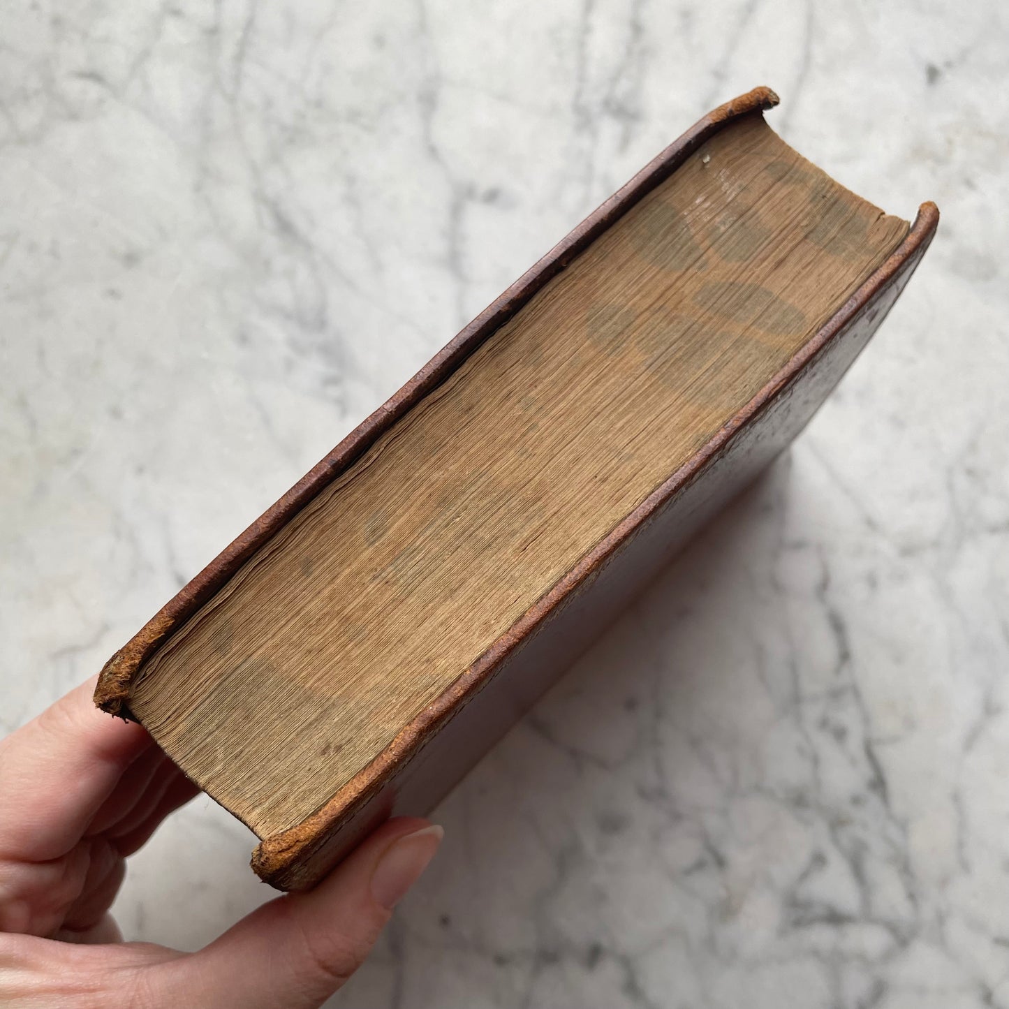 Complete Works of Shakespeare | 1832 | Full Leather Binding